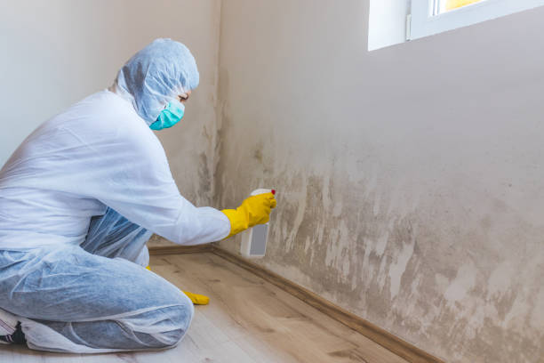 Attic mold on roof deck in Robertsdale home